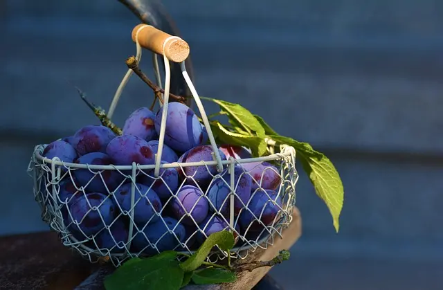 Des Baskets Écoresponsables pour Jouer au Basket